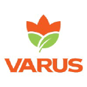 Логотип Varus